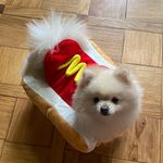 baileybettinamochi - @baileybettinamochi - Instagram