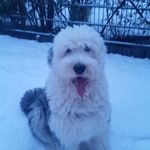 Bettina Eckhoff - @eckhoffbettina.bailey - Instagram