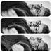 Bettina Beamson - Facebook