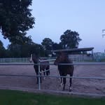 Bettina Lohmeier - @bettinalohmeier - Instagram