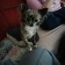 Bettina Meyer - Facebook