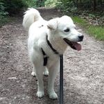 Bettina Meyer - @bettina7507 - Instagram