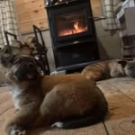 Bettina van Batenburg - @bettina_simpson80 - Instagram