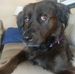 Bettina Smith - Facebook