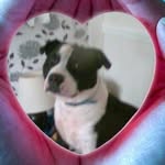 Betty Ball - @betty.ball.9400 - Instagram