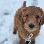 Betty Ball - @itsbettybetches - Instagram