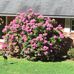 Betty Beane - Facebook