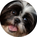 Betty Beebe - Facebook