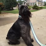 BEtty Biddle - @betty.biddle.98 - Instagram