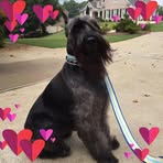 BEtty Biddle - Facebook