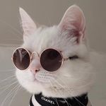 @___betty_bloom___ - Instagram