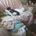 Betty Bloom - Facebook