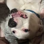 Betty Brown - Facebook