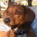 Betty Calloway - Facebook