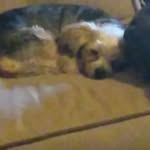 Betty Cameron - @betty.cameron.54943 - Instagram