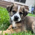 Betty Cameron - @maccam203 - Instagram