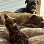 Betty Cameron - Facebook