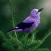 Betty Cartwright - Facebook