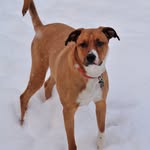 Betty Cartwright Cawthra - @bettycartwrightcawthra - Instagram