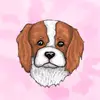 🎀𝘉𝘌𝘛𝘛𝘠🫶🏻 - @cavalier.betty - TikTok