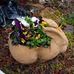 Betty Corbin - Facebook