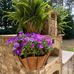 Betty Correll - Facebook