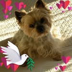 Betty Cotterre - @bettycotterre - Instagram