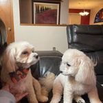 Betty cox - @bettycox581 - Instagram