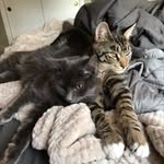Betty + Wyatt Doyle - @betty.wyatt_doyle - Instagram