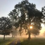 Betty Doyle - @betty.doyle.710 - Instagram