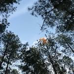 Betty A Wehmeyer Dunn - @betty_dunn7 - Instagram