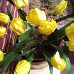 Betty Dunn - @bettydunn344 - Instagram