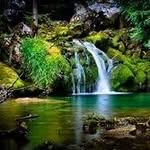 Betty Dunn - @betty.dunn.39794 - Instagram