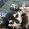 Betty Dunne626 - @bettydunne - TikTok