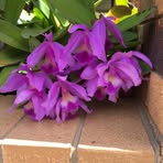 Betty Dutton - Facebook