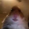 Betty❤️❤️ - @betty....elizabeth - TikTok