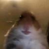 Das ist mein zweiter Account - @bettydemlory - TikTok