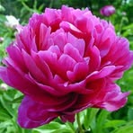 Betty Eppley - Facebook