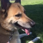 Betty Etherton - @ethertonbetty - Instagram
