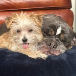 Farley and Betty Gray - @farley_and_betty_g - Instagram