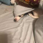 Betty Farthing Stewart - @bettyfarthingstewart - Instagram