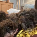 bettyfarthing - @bettyfarthing3 - Instagram