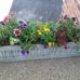 Betty Fleming - Facebook