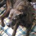 Betty Fleming - Facebook