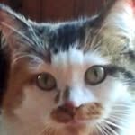 Betty Fleming - @fleming.betty - Instagram