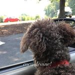 Betty Ruth Goff - @goffbettyruth - Instagram