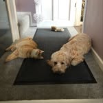 Barry And Betty Gregory - @barryandbetty2020 - Instagram