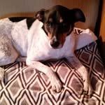 Betty Gregory - @sparky_gregory - Instagram