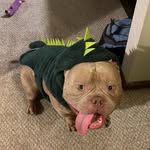 Betty Gregory - @bettygregory2607 - Instagram