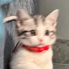 Guy Betty - @guy.betty5 - TikTok
